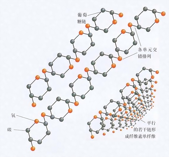 药物筛选-分子化合物