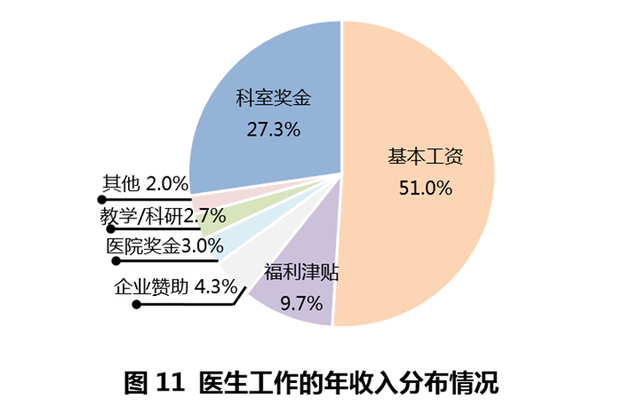 收入证明_医生 收入 报告